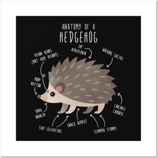 Hedgehog Anatomy Posters and Art